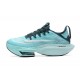 Nike Air Zoom Alphafly Next 2 Mens Blue Sports Shoes