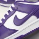 Nike Dunk Low Court Purple DD1391-104 Purple