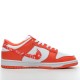 Nike Dunk Low Pro Medicom Toy 304292-142 Blue White