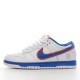 Nike Dunk Low Retro Grey White DJ6188-001